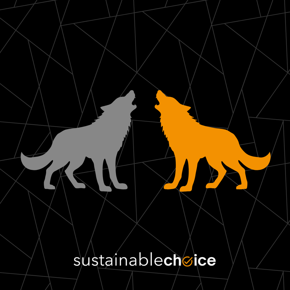Two Wolves: Your Energy Choices Matter