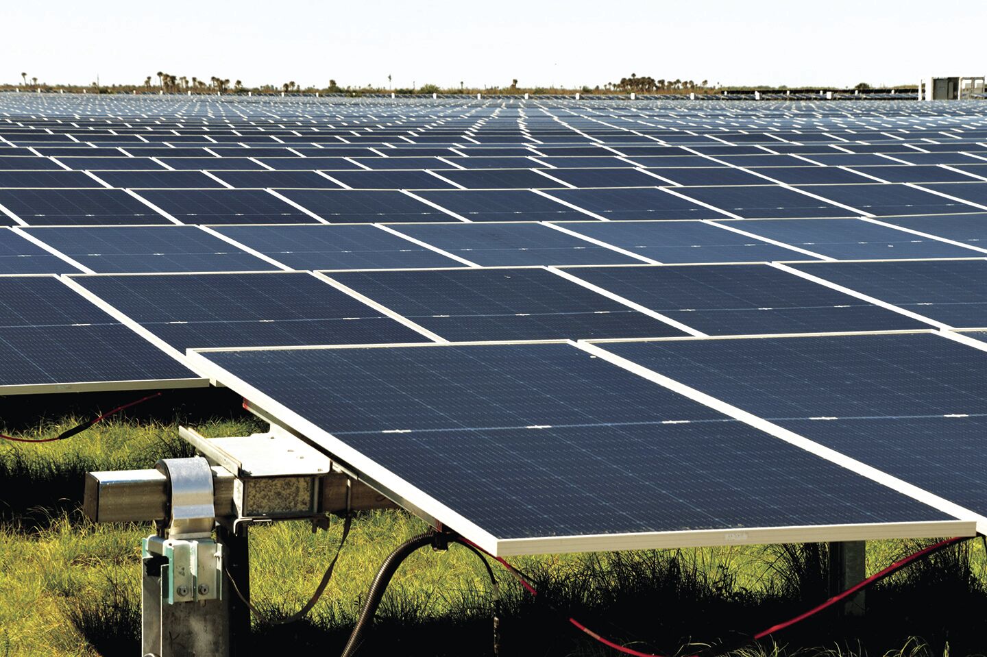 Renewable Energy Solar in Florida