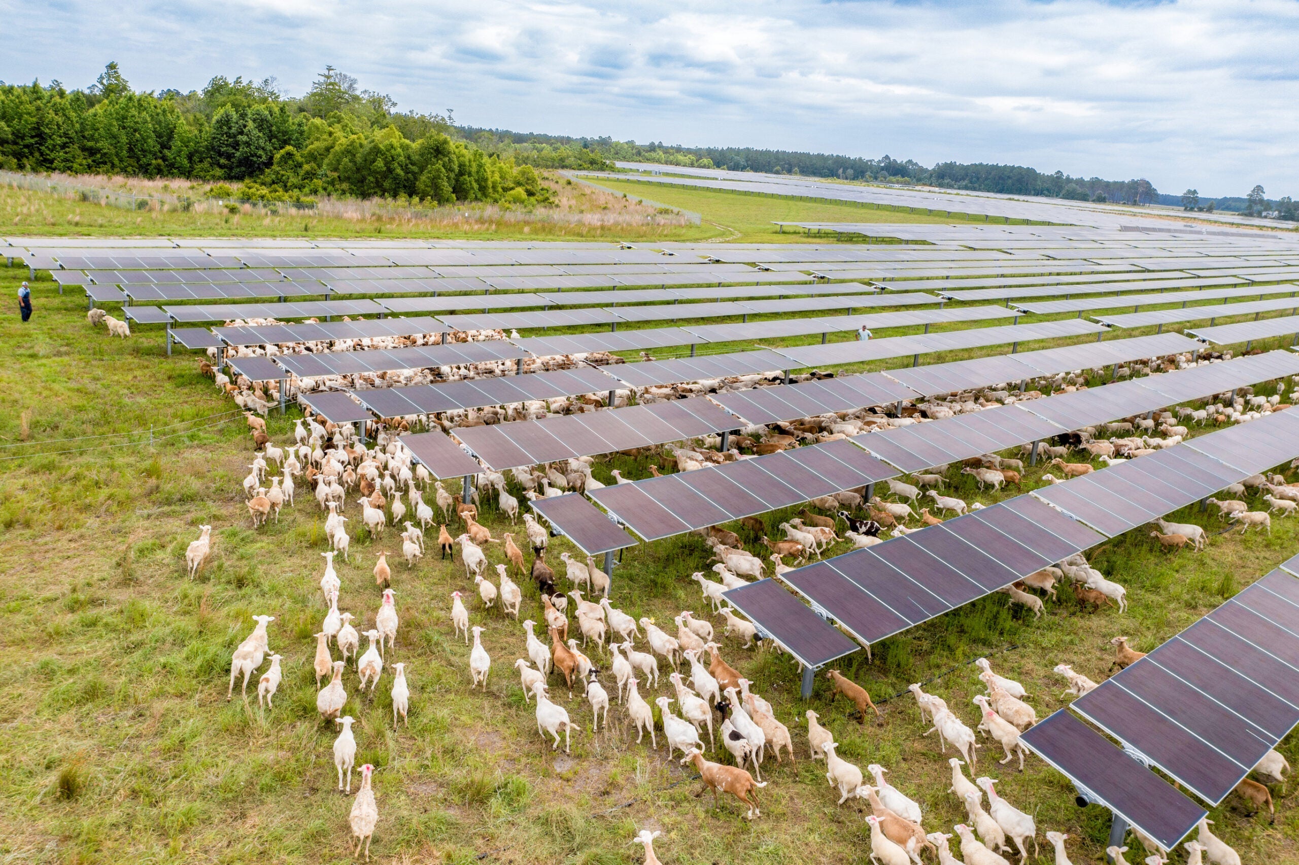 Solar energy project Georgia